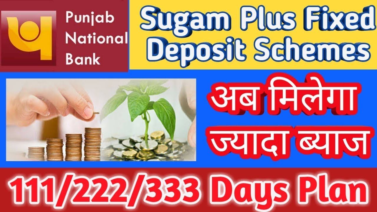 PNB Sugam Plus Fixed deposit Schemes में मिलेगा ज्यादा फायदा | New Interest Rate Scheme