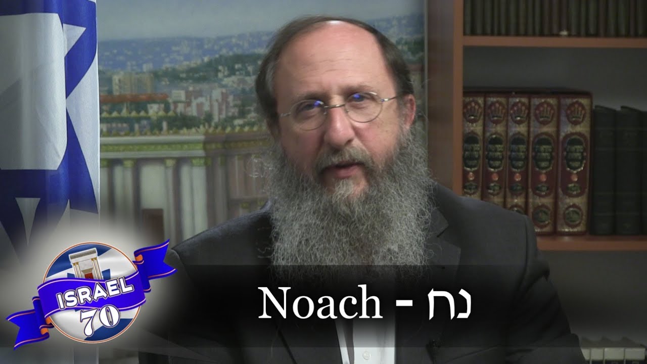 Weekly Torah Portion Noach YouTube Weekly torah portion noach youtube