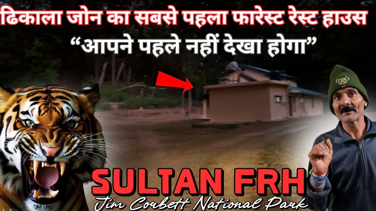 Dhikala Zone का सबसे पहला रेस्ट हाउस | Tiger Territory | Jim Corbett