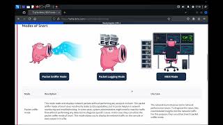 IDS Fundamentals - TryHackMe