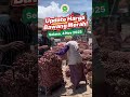 INFO HARGA BAWANG MERAH TERBARU, Selasa 4 November 2025
