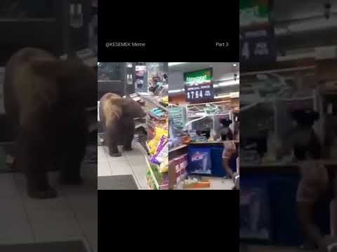 mentahan meme berang berang teriak