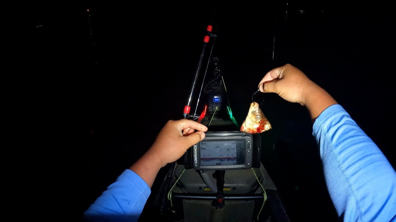 That s Why It s Called Fishing And Not Catching Kayak Catfishing that-s-why-it-s-called-fishing-and-not-catching-kayak-catfishing