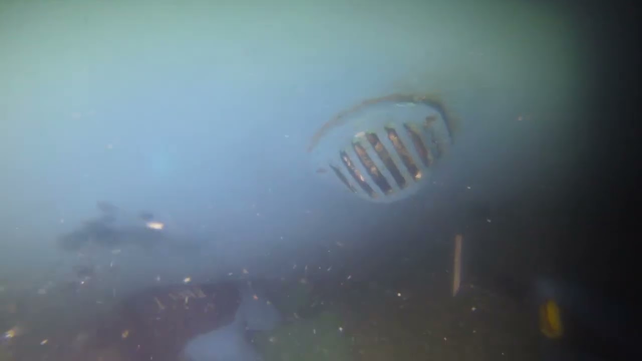 Bubba 36' Willard Motor Yacht 3 7 26 Hull Cleaning 2of2