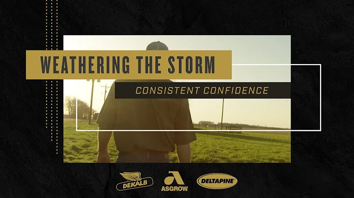 Success Stories | Terry Novak - Weathering the Storm