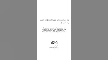 At-Taghabun 1-5 | سورة التغابن ١-٦