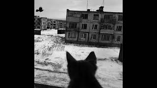 (free) post punk + ekkstacy + molchat doma + alternative indie rock type beat - STRAY @r1ckhardy