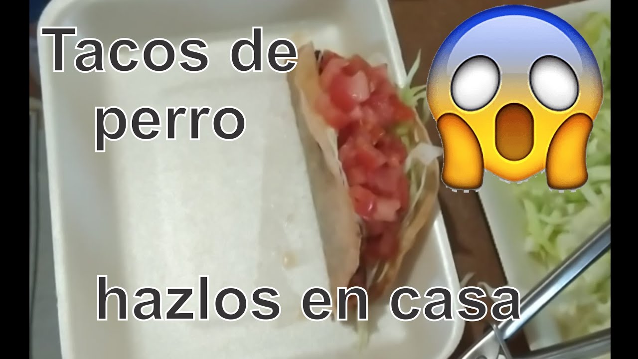 Descubrir 75+ imagen tacos de perro receta Abzlocal.mx