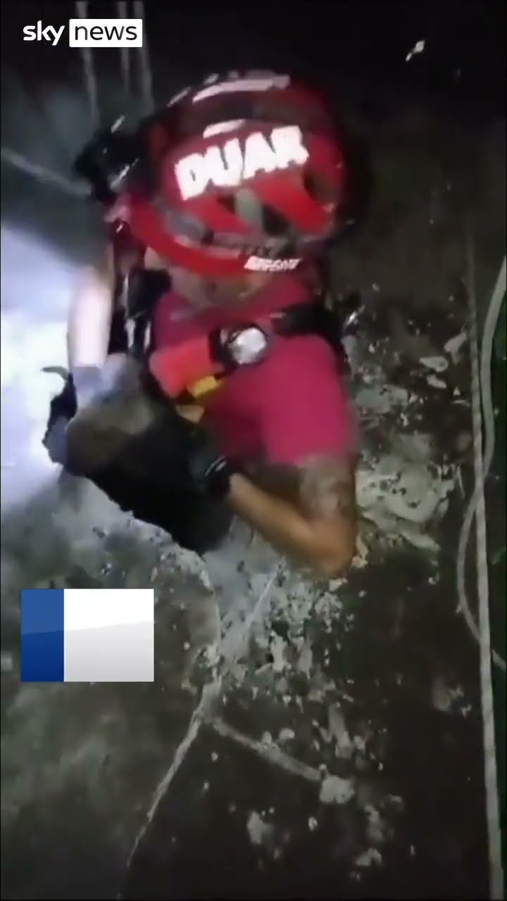 Dog rescued after falling into well