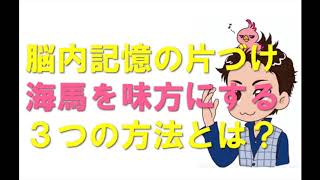 脳内記憶の片づけ〜海馬を味方につける３つの方法とは？〜