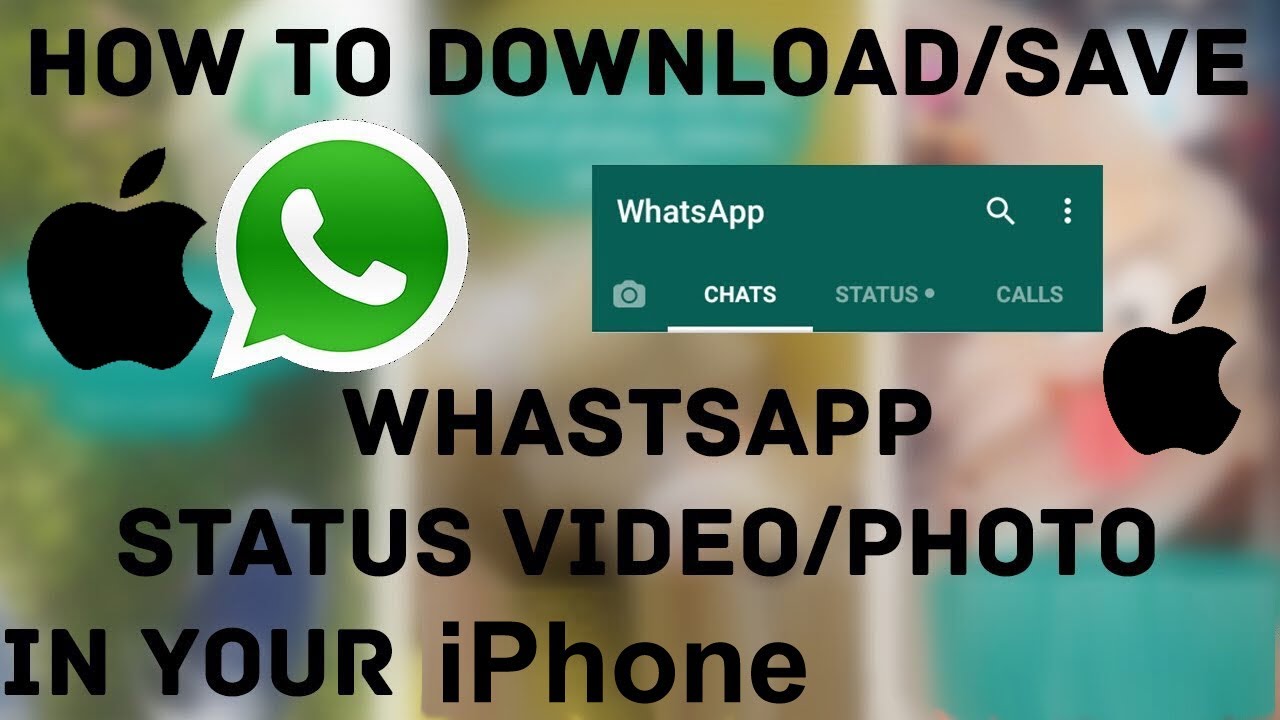 How to save WhatsApp status in iPhone | iPhone tips and tricks - YouTube