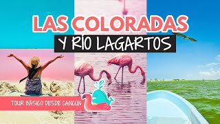 Las Coloradas y Río Lagartos en Yucatán desde Cancún