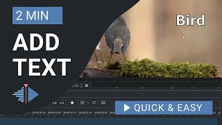 Kdenlive Tutorial: How to Add Text in Kdenlive