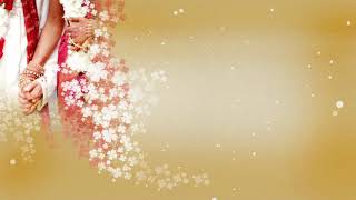 Wedding Background Video