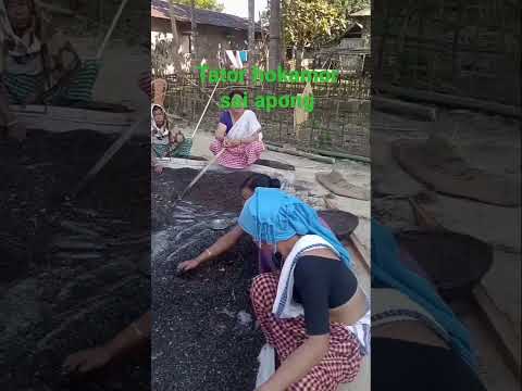 Local black rice beer/ Mising tribe#shorts #traditional#youtubeshorts