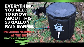 Save Water & Money with This Rain Barrel | Backyard Garden Water Collection 🌧️🌱