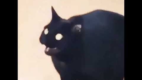 −•−• •− −