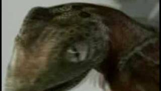 Naomi Campbell Lizard Dance