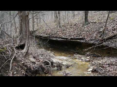 5794 Hillshire Lane, Hillsboro, MO home video tour