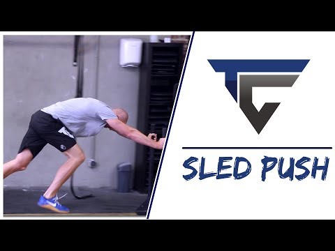 Sled push (traîneau)