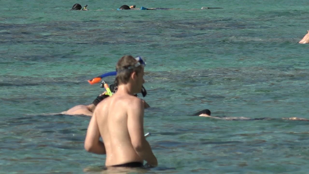 Maui tourist drownings bring concerns about full-faced snorkeling masks