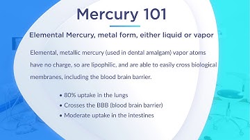 Mercury 101: Types of Mercury