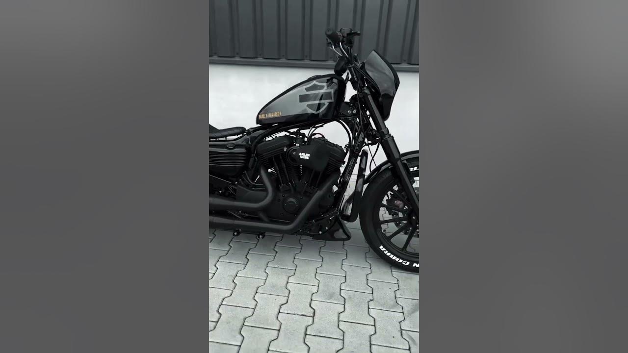 Harley Davidson iron 883 Modified || Family |~ Black on. Fire #harleydavidson