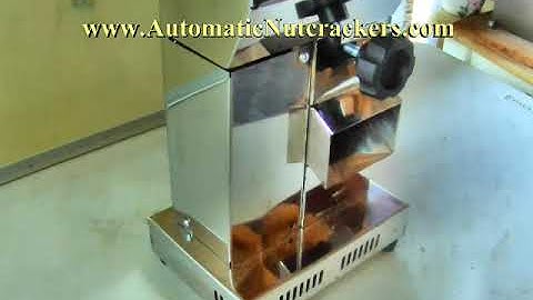 PREMIUM XL Nutcracker ~ Automatic Electric Nut Cracker ~ Cracks Walnuts and All Kinds of Nuts Quick!