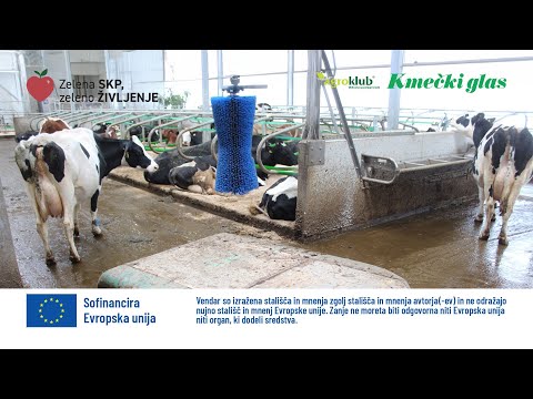 ZELENA SKP –