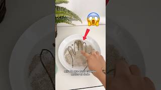 experimento casero y fácil para peques 👩‍🔬✨ por qué es importante lavarse las manos con jabón