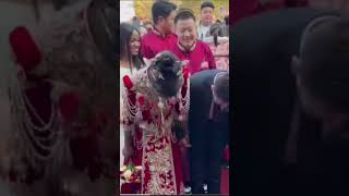 Viral Video Of Chinese Man Mistreating His Young Beautiful African Wife On Their Wedding Day