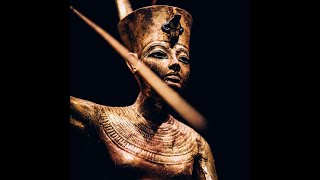 Cage - The Expedition