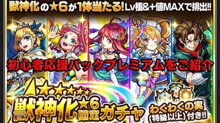 モンスト 初心者応援パックプレミアムをご紹介 大当たりキャラは誰 モンスト動画まとめ