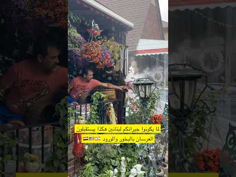 عرس يمني في امريكا و الجيران البنانيين 🇺🇸🇾🇪🇱🇧