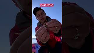 Как монтировать офсетный крючок  #рыбалка #крючок #офсетныйкрючок