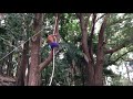 Superhuman rope climb by world record breaker marcus bondi
