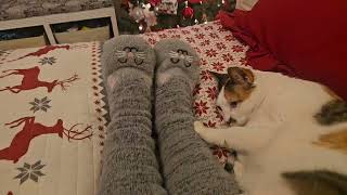 Cute Cat Fuzzy Slipper Socks with Grippers! Super Soft!