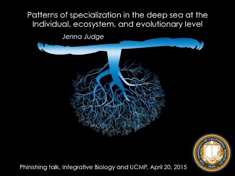 Patterns of specialization in the deep sea - Jenna Judge&rsquo;s Phinishing talk