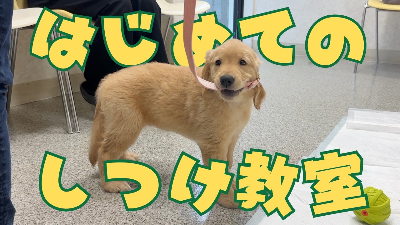 The troublemaker (?), who was the first to escape, is now