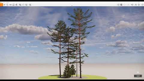 Globeplants : Pinus sylvestris Enscape asset