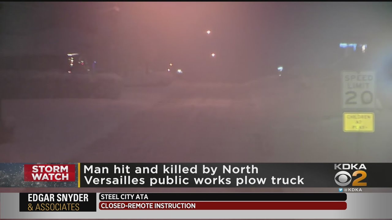 Man struck and killed by plow truck while walking with snow blower ...