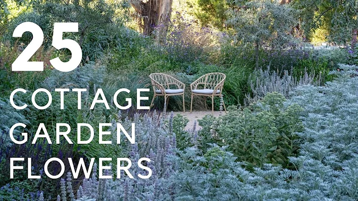 25 Best Cottage Garden Flowers (and which ones are easy-care!) thumbnail