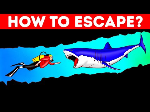 Video: How To Survive In Extreme Situations - Alternative View