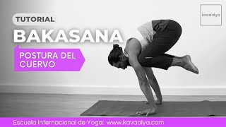 Cómo hacer BAKASANA: La postura del cuervo | Kavaalya