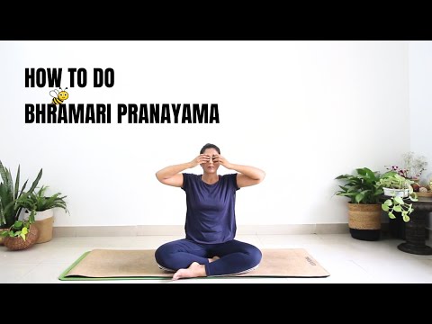 How to do Bhramari Pranayama and What are Its benefits? | Yoga facts, Easy  yoga workouts, Pranayama