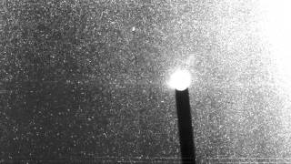 Steady sphere sedimentation in wormlike micelles