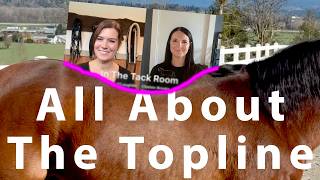 Everything your horse wants you to know about the Topline | In The Tack Room | Episode 4