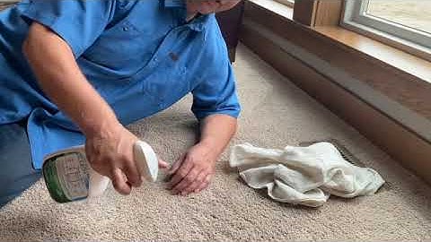 ProSol Works Carpet Cleaning