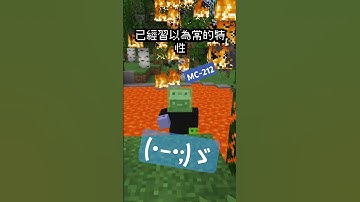 修復了一個很好用的Bug... #minecraft #校園大賞2024 #24w45a #麥塊 #shorts