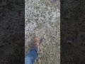 Saying Goodbye 2